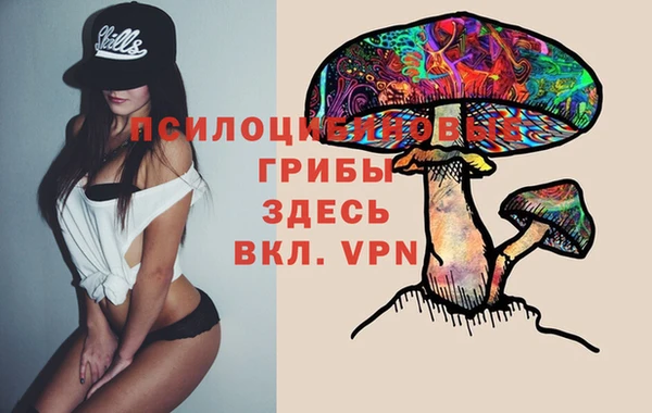 гидра Сатка