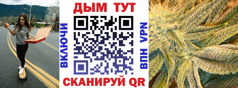 Конопля гибрид  где продают   Гай 